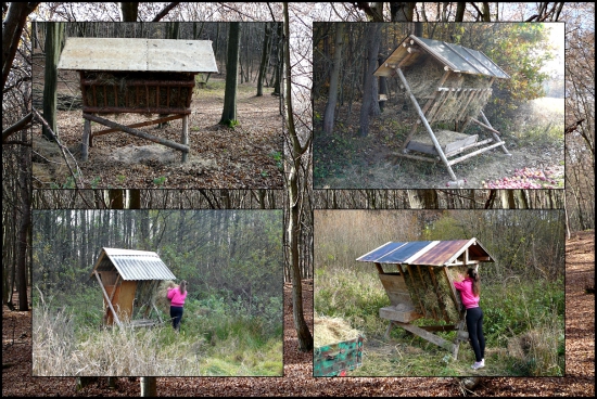 rozvážali sme seno ...