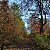 cestou do revíru ...