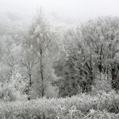 keď hmla zamrzne ... ...