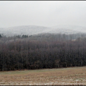 Vianočné ráno ...