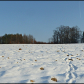 zasnežená oračina ...
