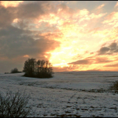 z potuliek za líškami II. ...