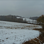 z potuliek za líškami ...