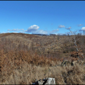 pred víchricou tam bola bučina ...