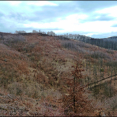 pohľad do doliny ...