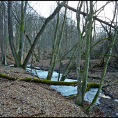 v zapači je ešte ľad ...