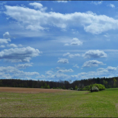 zo začiatku jari ...