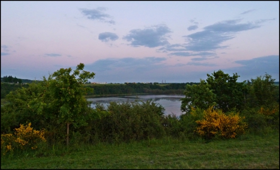 podvečer nad rybníkom ...