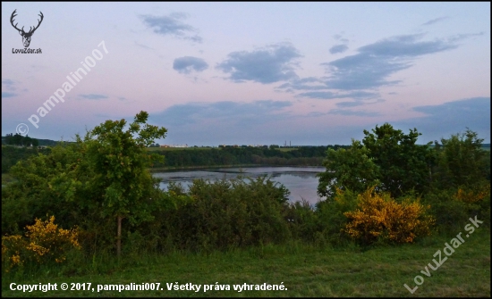 podvečer nad rybníkom ...