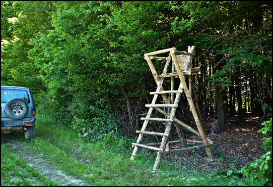 Pampi sa zasa nudil ...