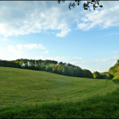 pohľad z posedu ...