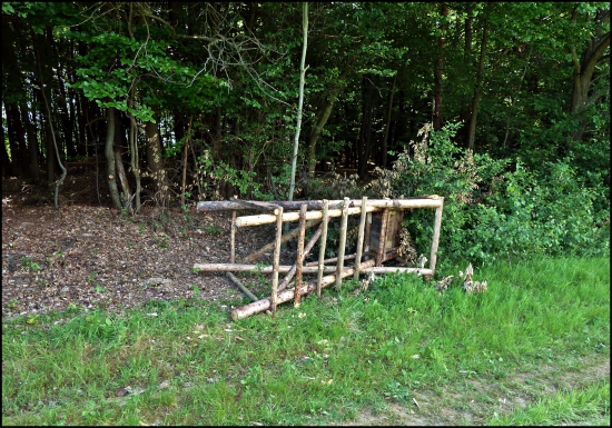 niekedy žasnem nad ľudskou hlúposťou ...