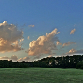 podvečer pri lucerke ...