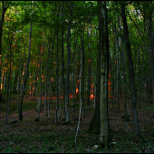 východ slnka v hore ...