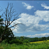 cestou do revíru ...