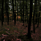 podvečer v hore ...