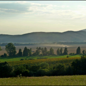 u susedov žatva ...