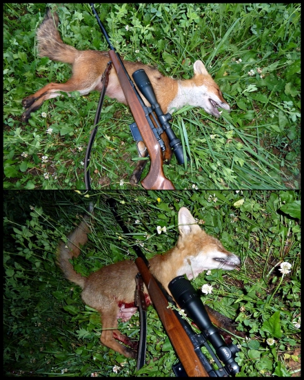 Včera podvečer ...