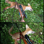 Včera podvečer ...