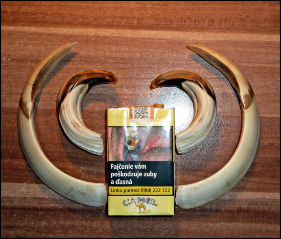 Tento určite nefajčil ... :-)