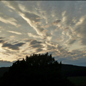 podvečerné oblaky ...
