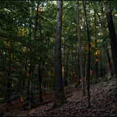 ďalšie ráno v hore ...