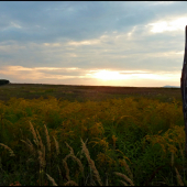 cestou do revíru ...