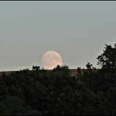 Dnešný východ mesiaca ...