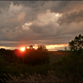 cestou do revíru ...