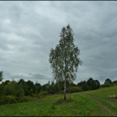 briezka na pastve ...