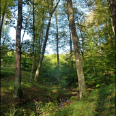 jarok pred mladinou ...