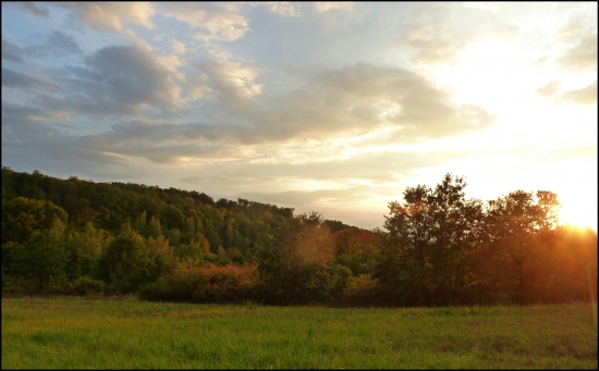 podvečer na  pastve ...