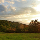 podvečer na  pastve ...