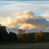 podvečer z posedu ...