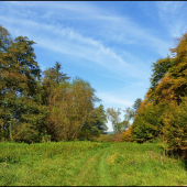 pod Starým hájom ...