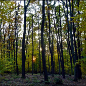 podvečer v hore ...