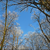 pohľad k oblohe ...