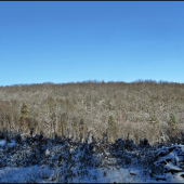 ráno na štande ...