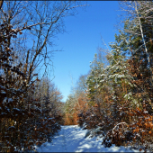 cestou do  revíru ...