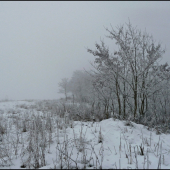 dnešný zahmlený štand ...