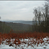 pohľad zo štandu ...