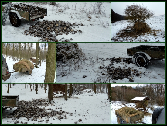 povinnosti splnené, ide sa na líšku ... :-)