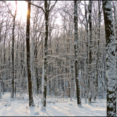 keď bol v hore sneh ...