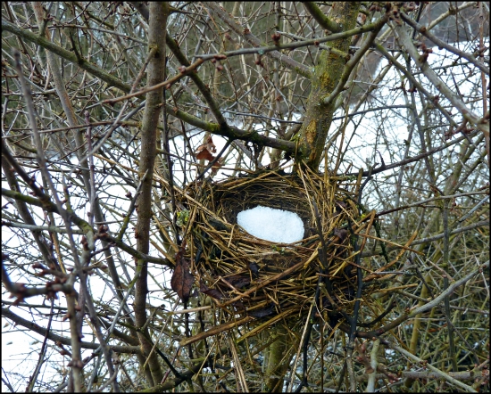 nasnežilo mu do bejváku ...