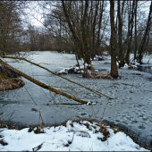 zamrznuté štrkovisko ...