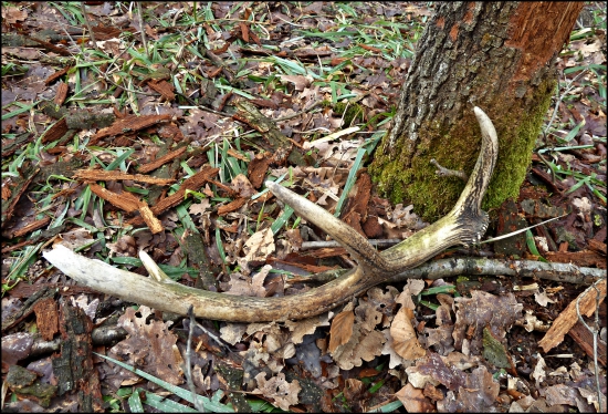 chvíľu si poležal ...