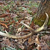 chvíľu si poležal ...