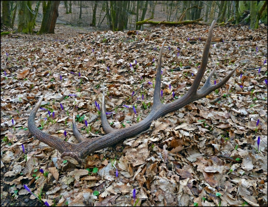 konečne tohoročný ...