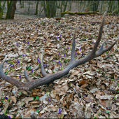 konečne tohoročný ...