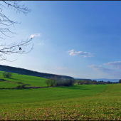 uiž sa to rozzelenelo ...